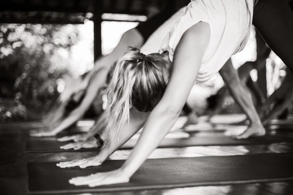People doing yoga, specifically in a pose resembling Downward-Facing Dog.