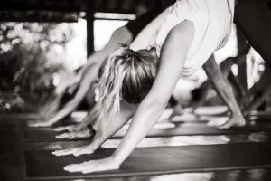 People doing yoga, specifically in a pose resembling Downward-Facing Dog.