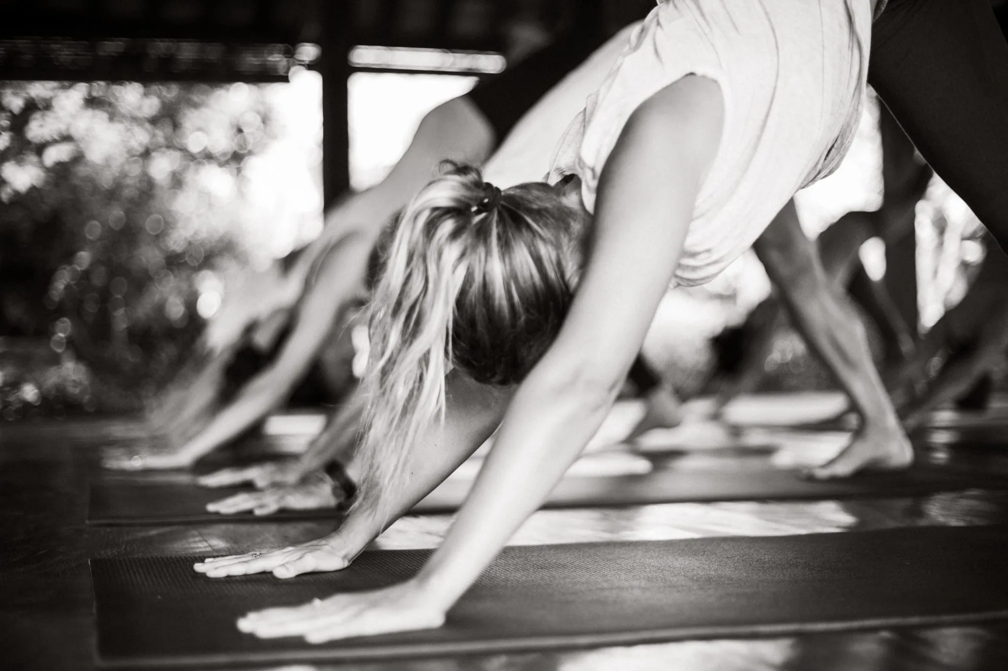 YOGA CLASS_HIGH (13 of 73) People doing yoga, specifically in a pose resembling Downward-Facing Dog.