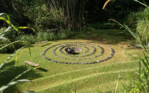 a garden with a circular pattern made of stones, most likely a meditation garden or a garden designed for reflection